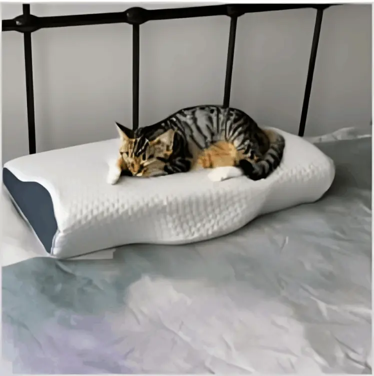 Derila Pillows customer Elizabeth M.